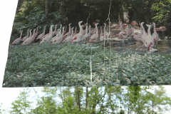 05_zerstoerte-Bilder-Tugba