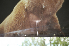 06_zerstoerte-Bilder-Tugba